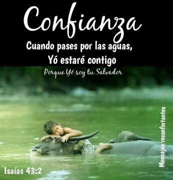 c797ff942cdfe2ef3ffa1f06c3fbe515