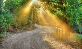 camino iluminado por rayos de sol