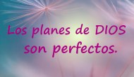 El mejor plan siempre es el de&nbsp;Dios